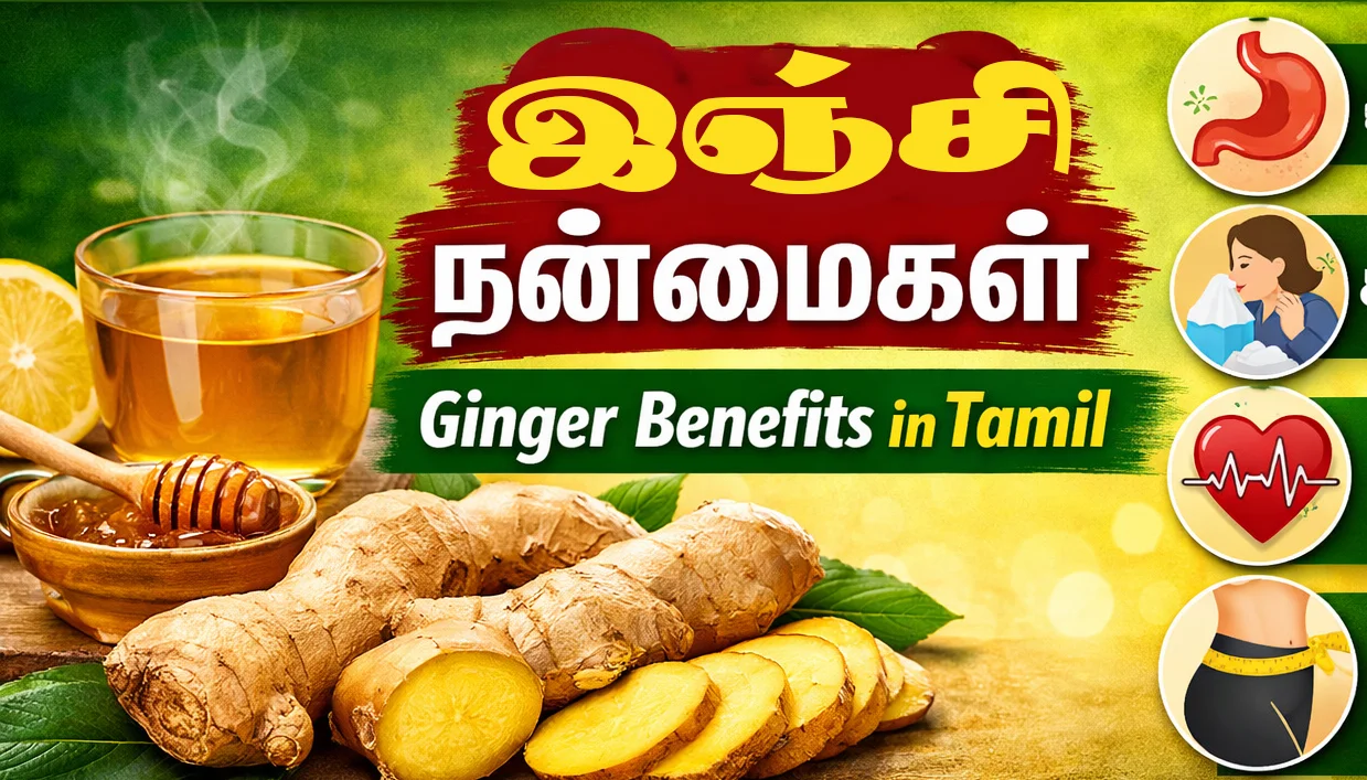 gingerbenefitsintamil